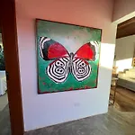 Alma Iguassu