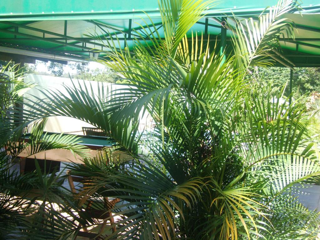 Casa de hóspedes Naipi 2*
