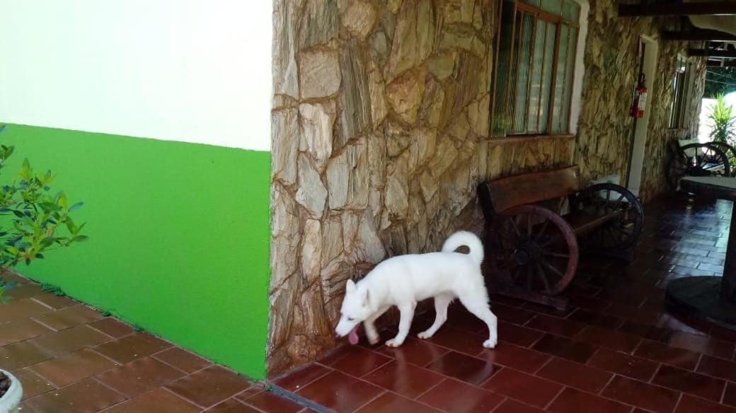 Naipi Casa de hóspedes