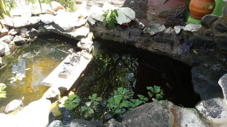 Naipi Casa de hóspedes