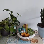 Casa Do Pergolado - Temporada