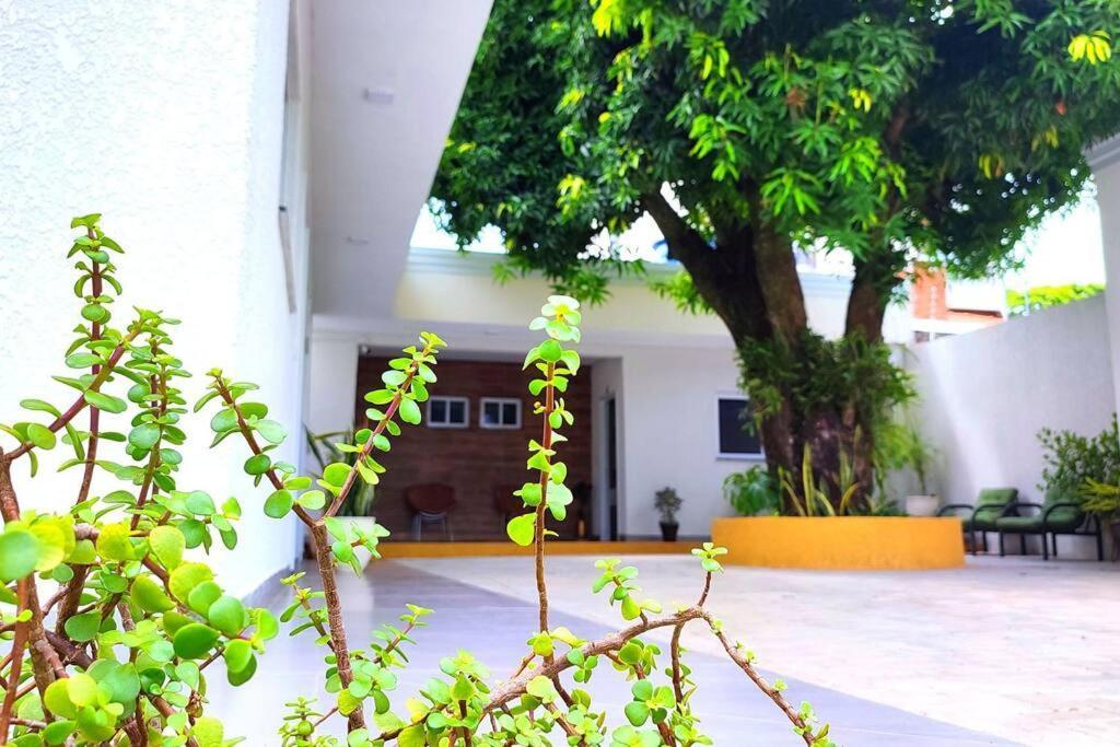 Linda Casa A 30 Metros Da Av Cataratas Casa de férias *