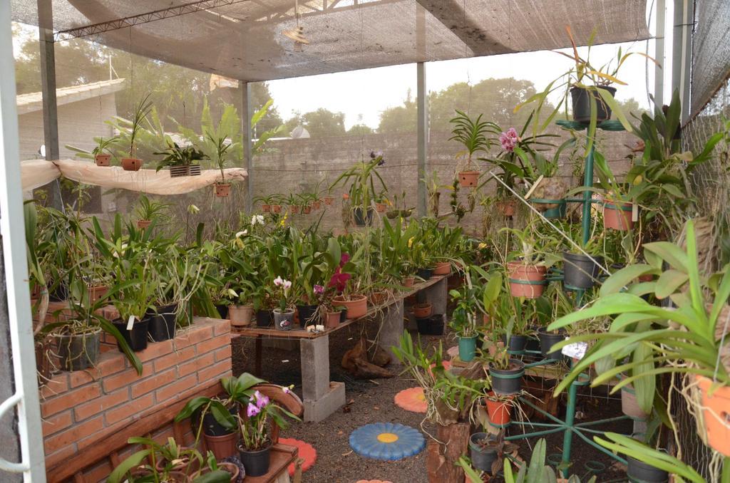 Inn Orquideas Foz Foz do Iguaçu